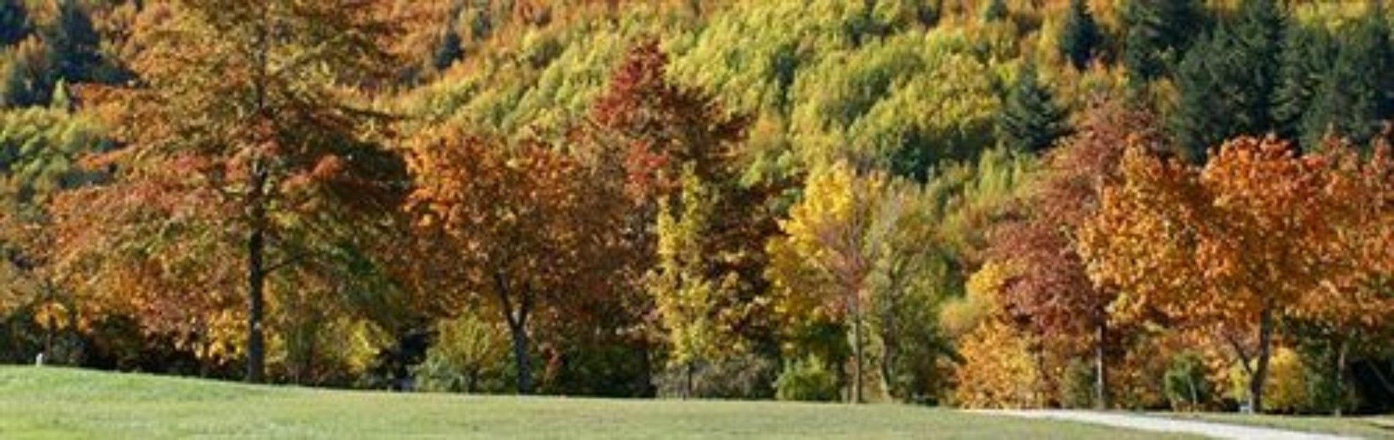 Hampshire Holiday Parks - Arrowtown Bagian luar foto